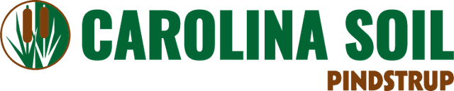 Carolina Soil do Brasil
